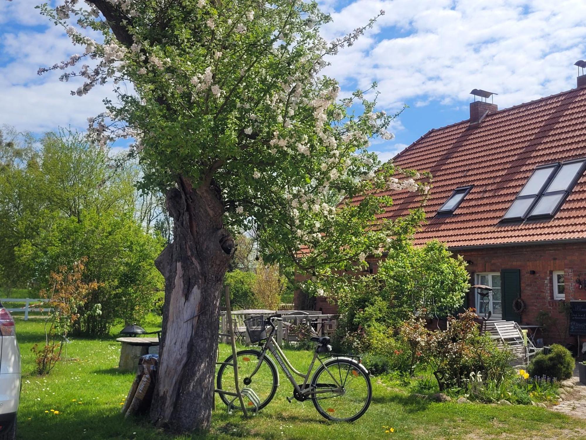 Seminar Und Landhaus Schoenbeck Schonbeck  외부 사진